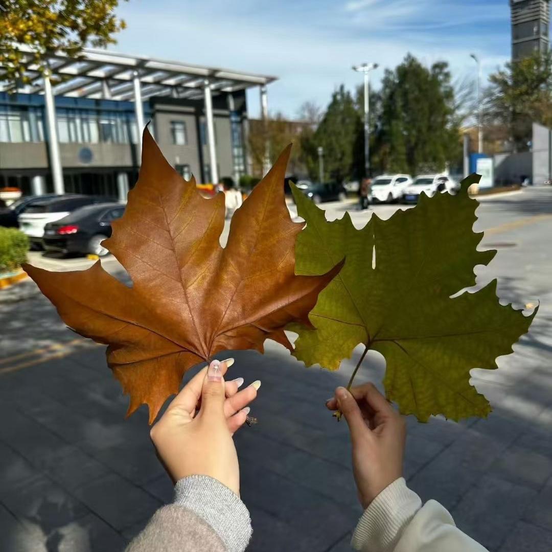 木木日用品经营部