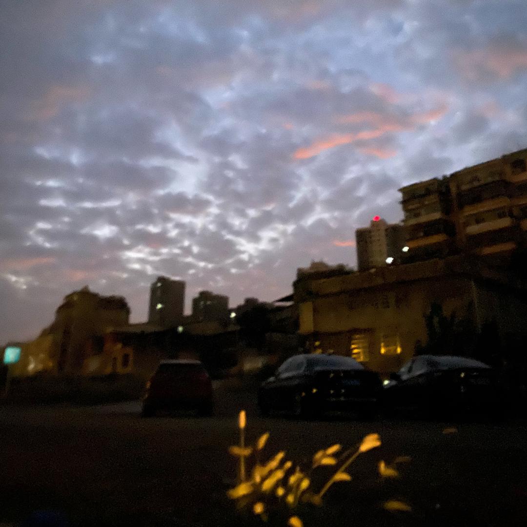 .                🕷️