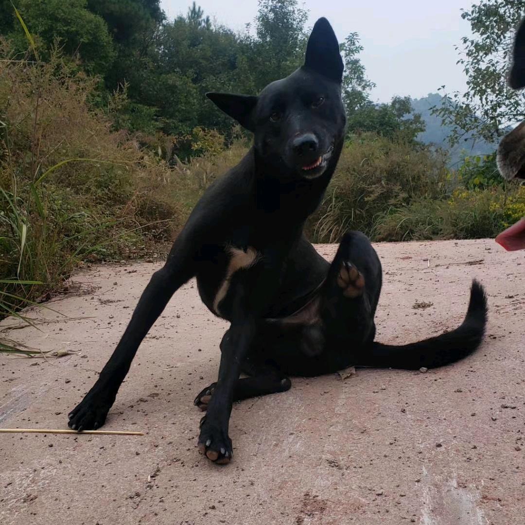 哈库呐、玛塔塔