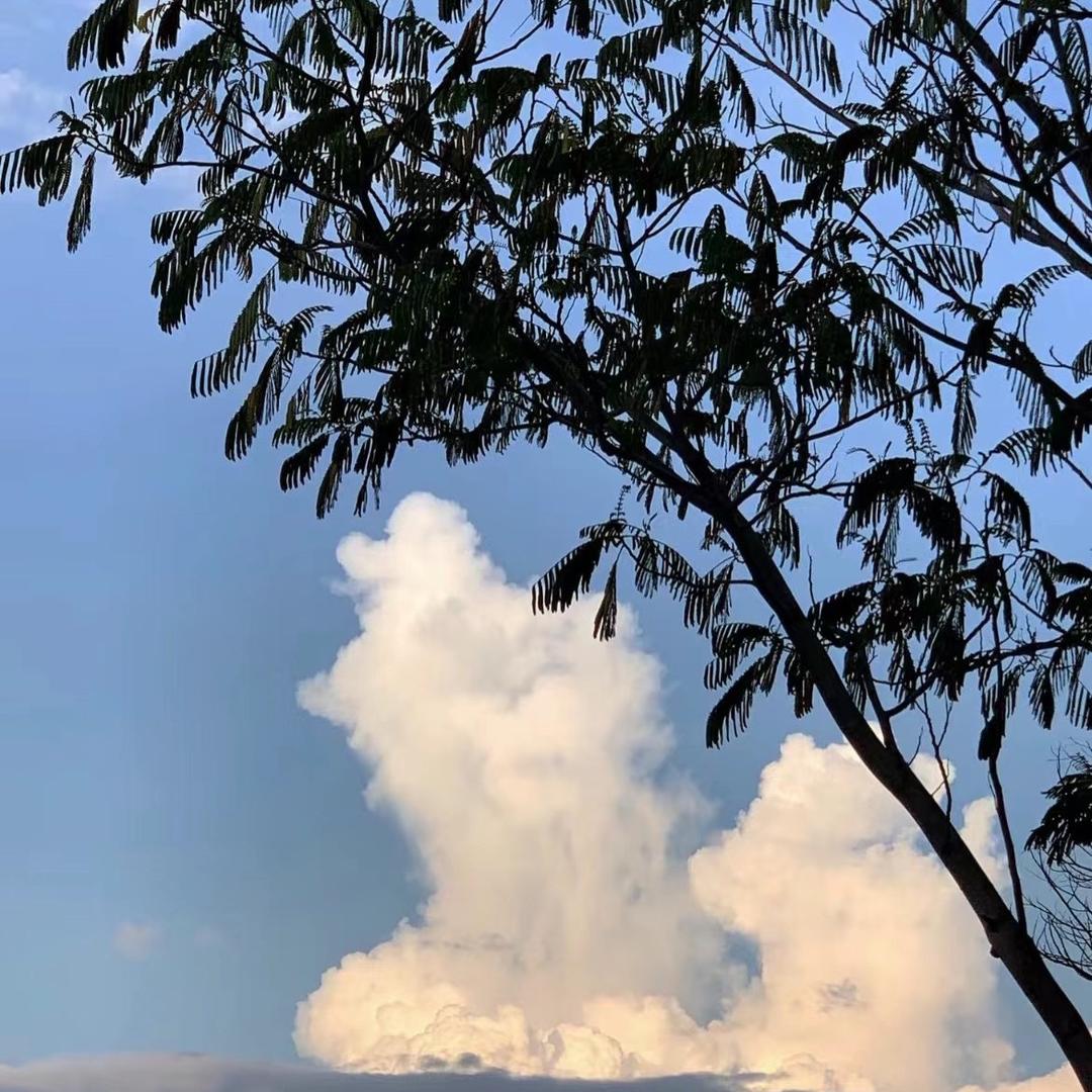 是小方吖🍃