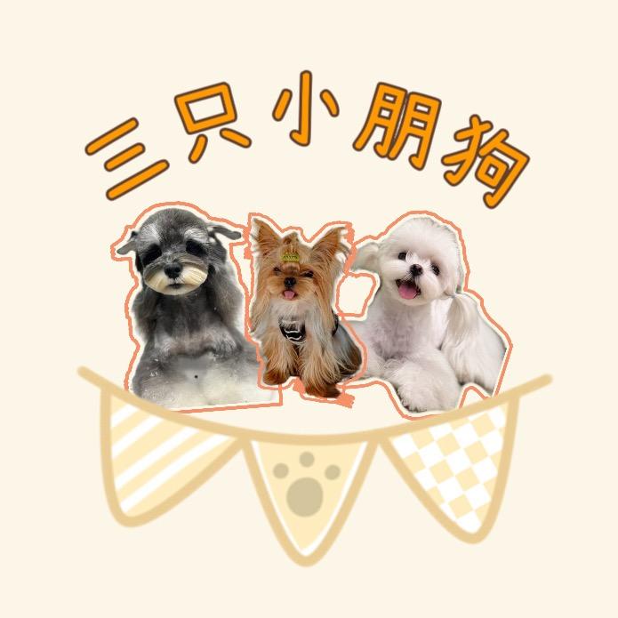 浅歌