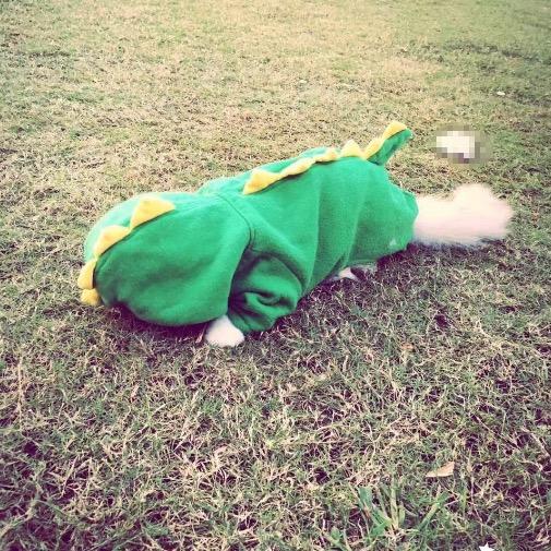 遇见更好的自己