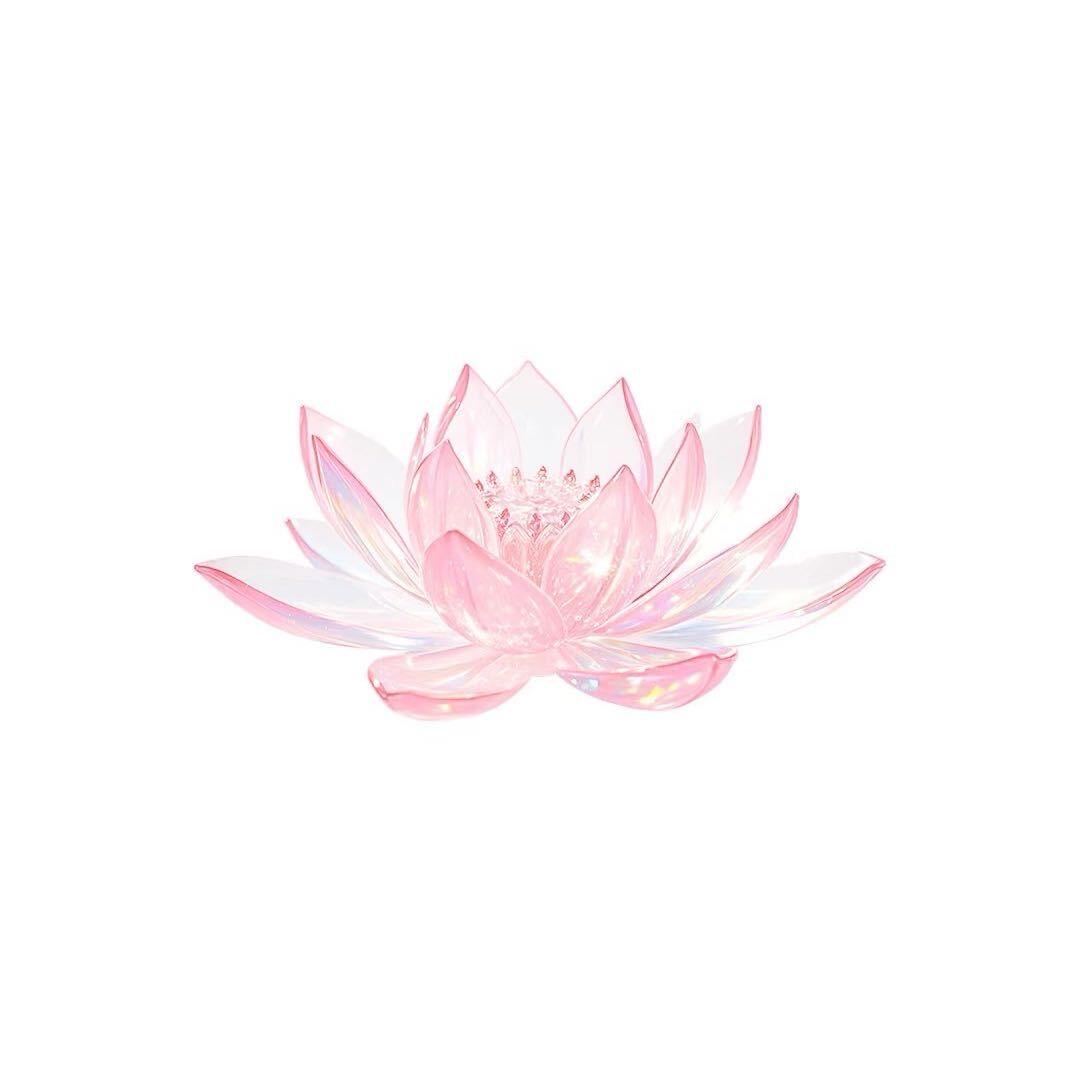 奈丝