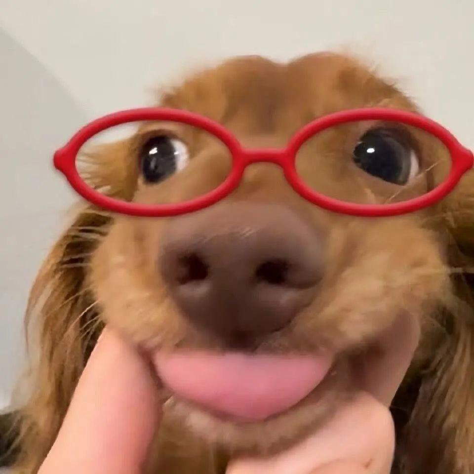 我睡不着