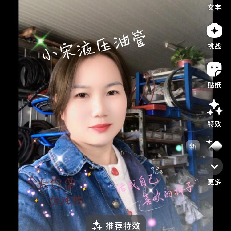 潜山西河小宋液压管