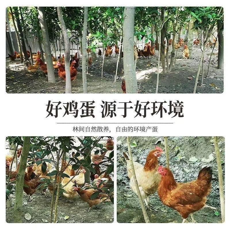 新之禾农产品