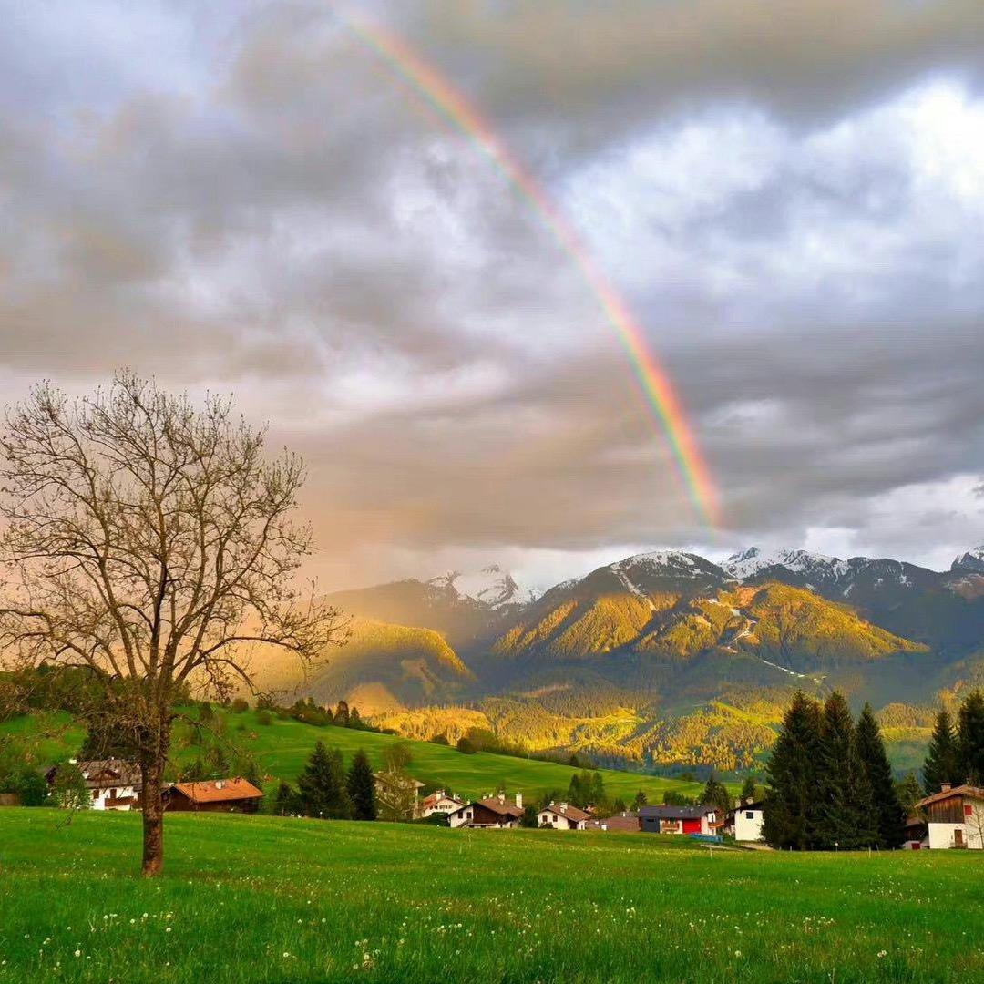 翻斗花园牛爷爷