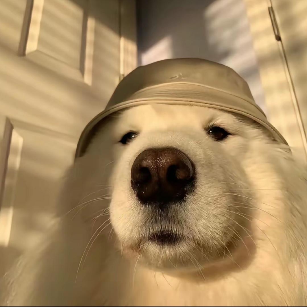 @徐航航的日常🍂