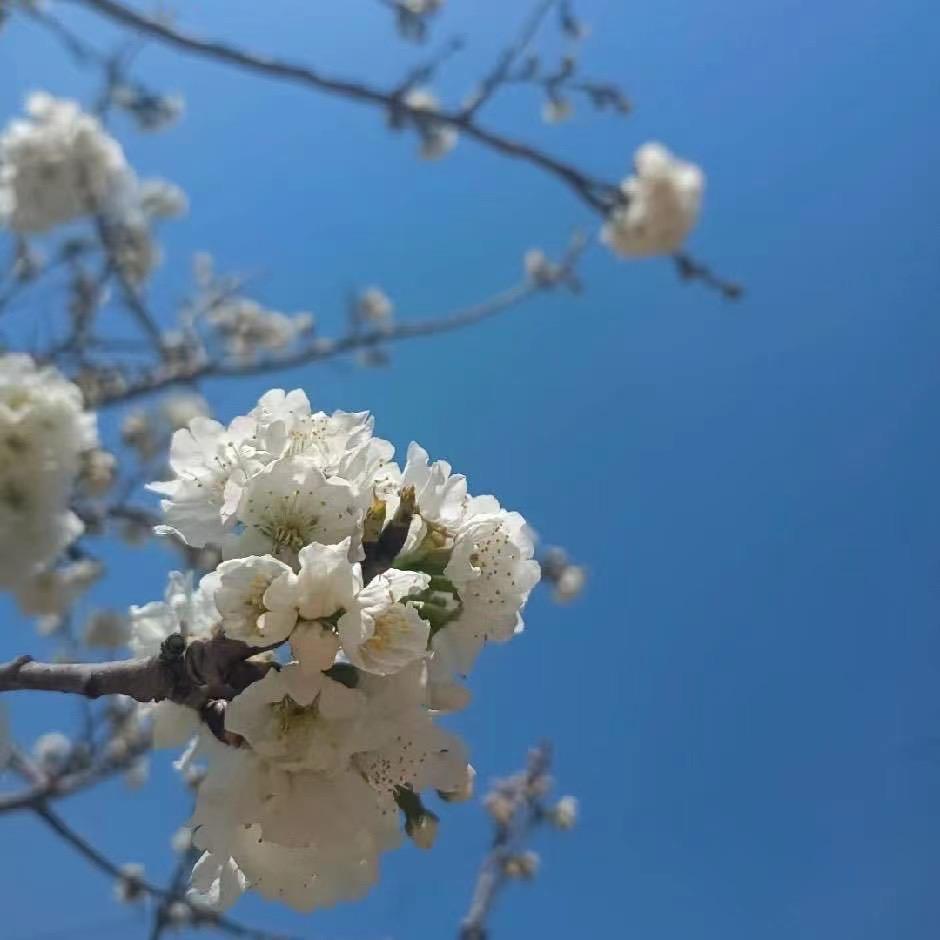 七老板（加入群聊交个朋友）