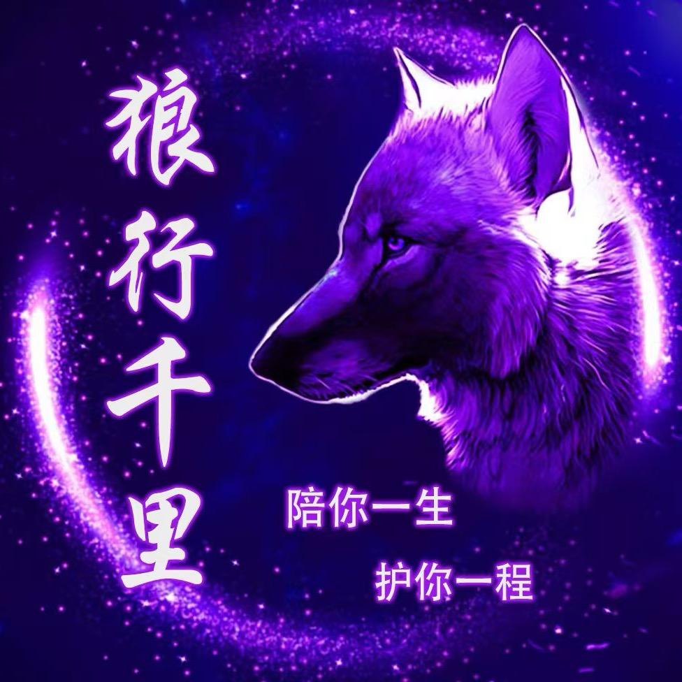 《孤狼》