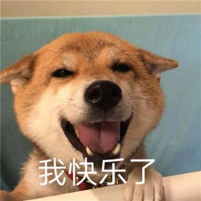 憨豆。不识趣❗️