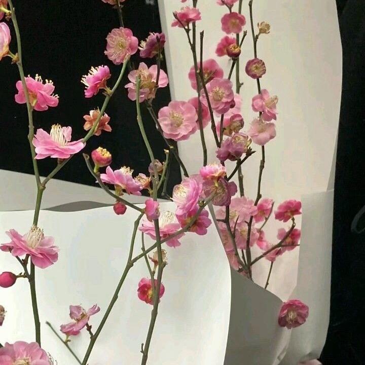 南阳迪茂迪网络科技有限公司