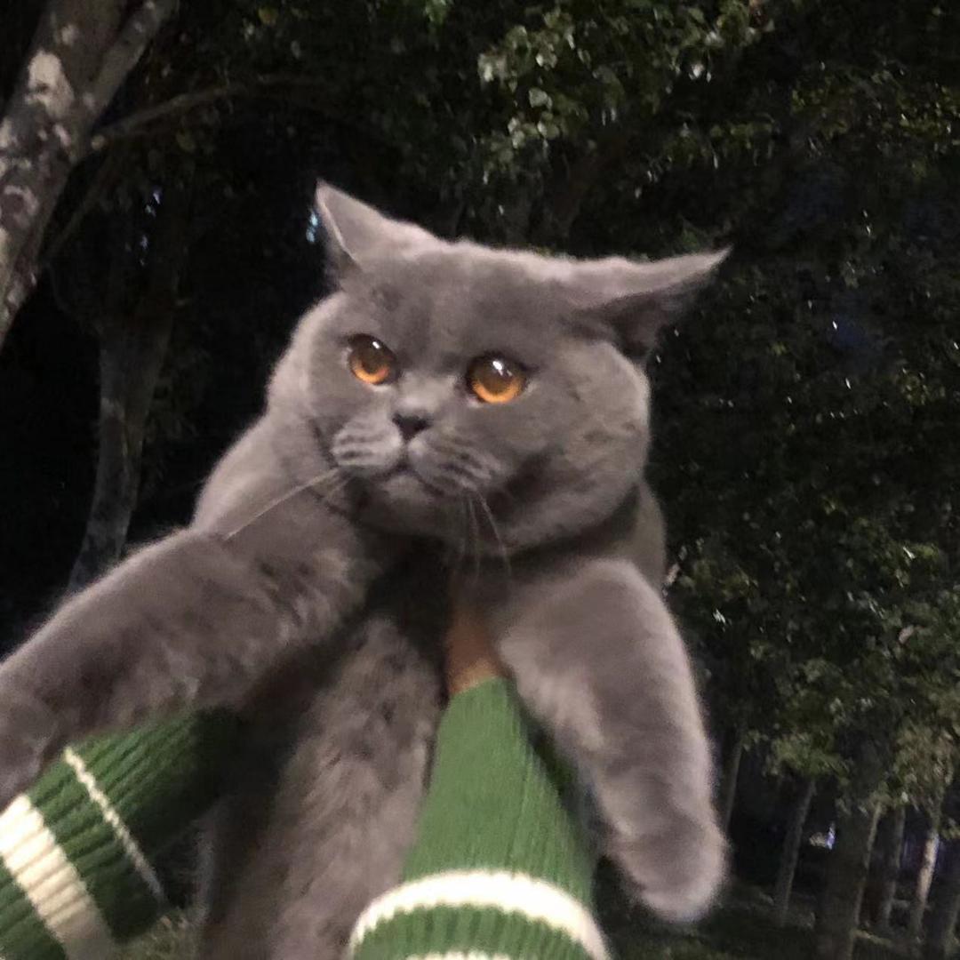 涵涵