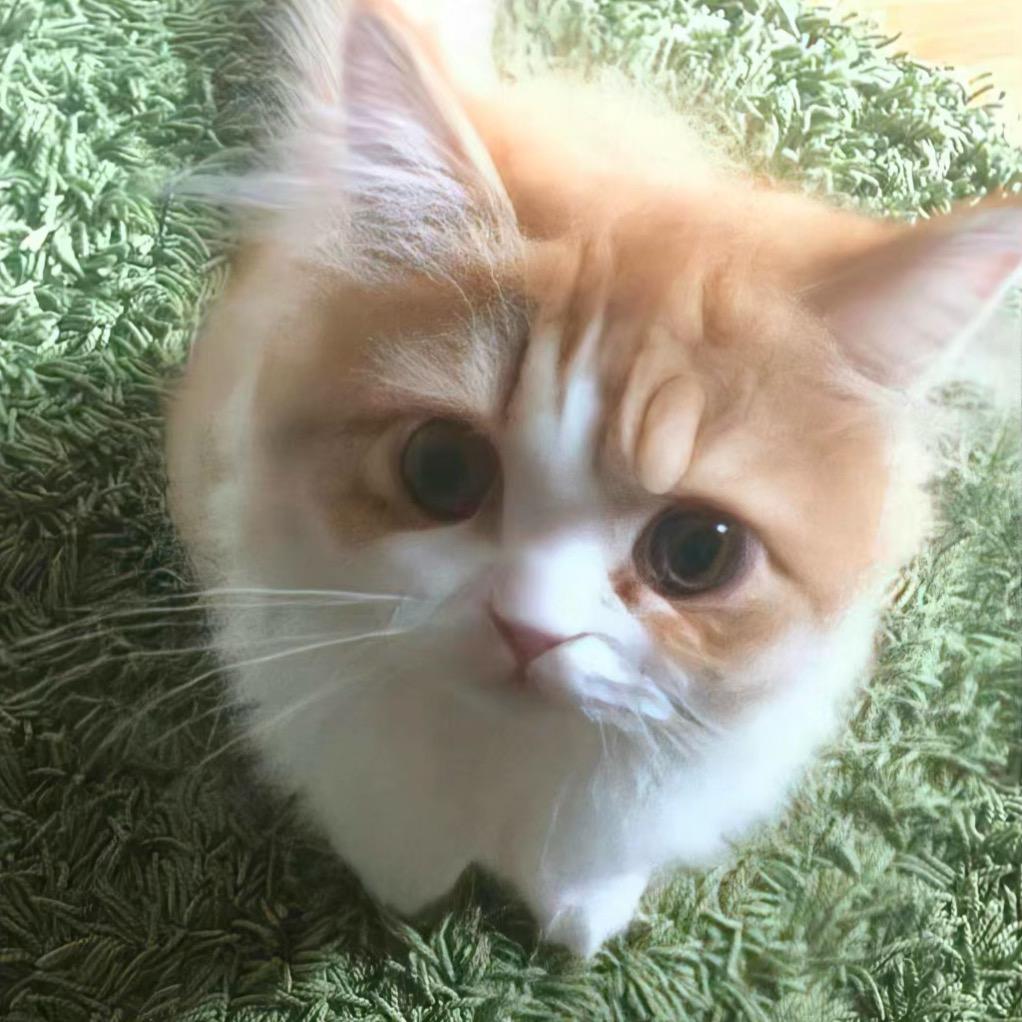 毛豆