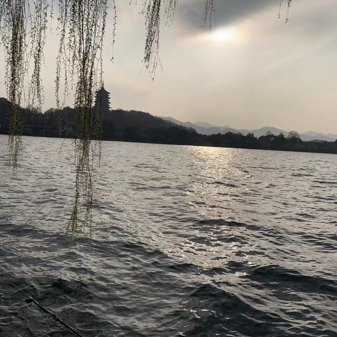 本宝宝