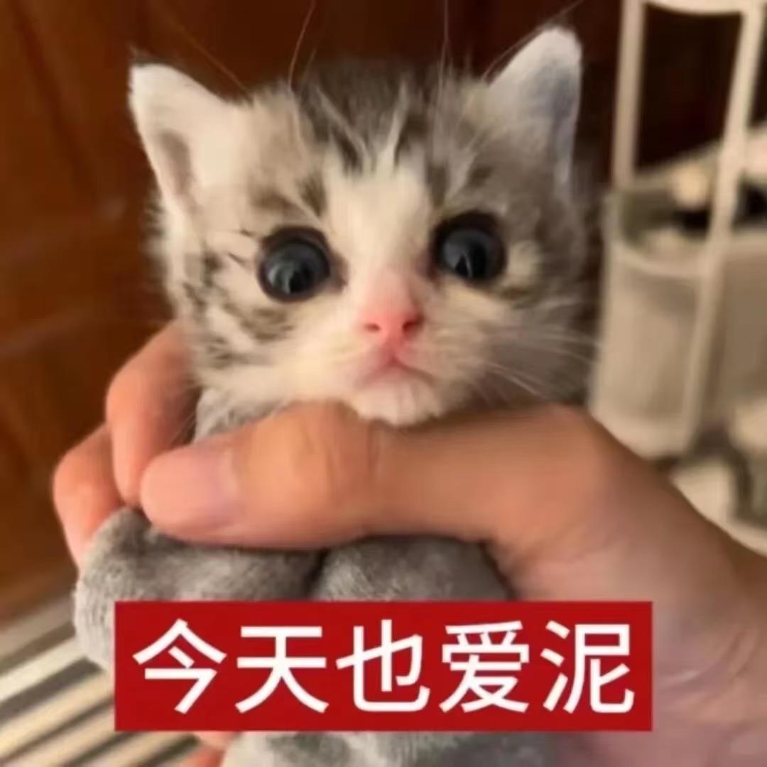 sy重度依赖