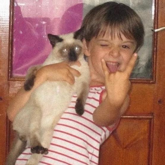 敷衍的猪肘