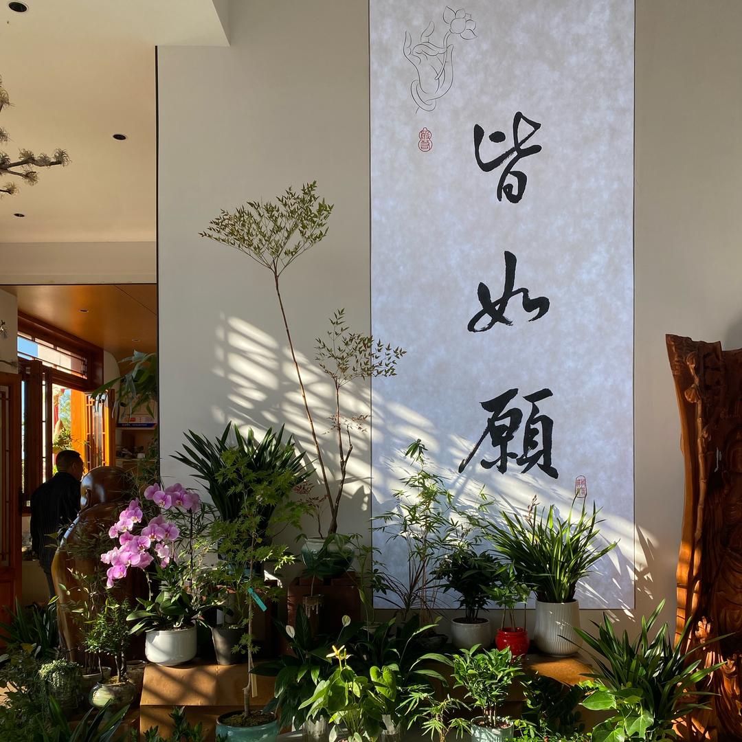 逍遥谷—木兮