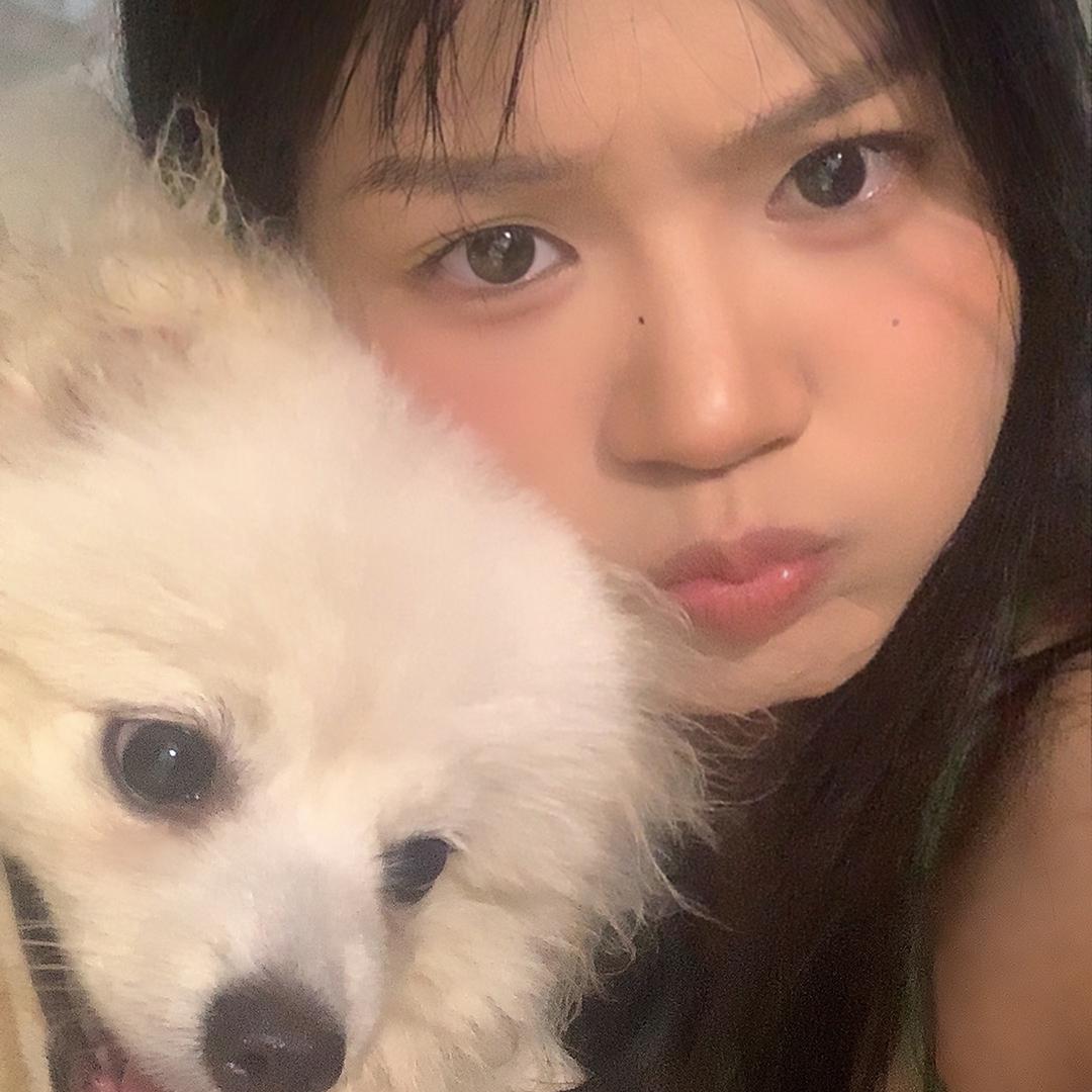 易碎椰子