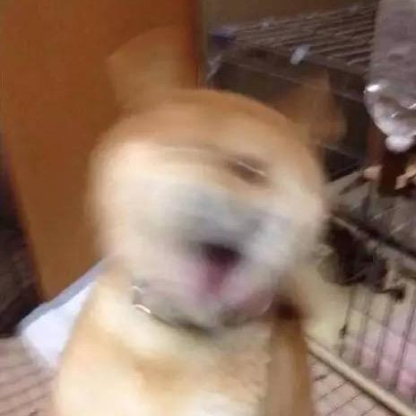,,