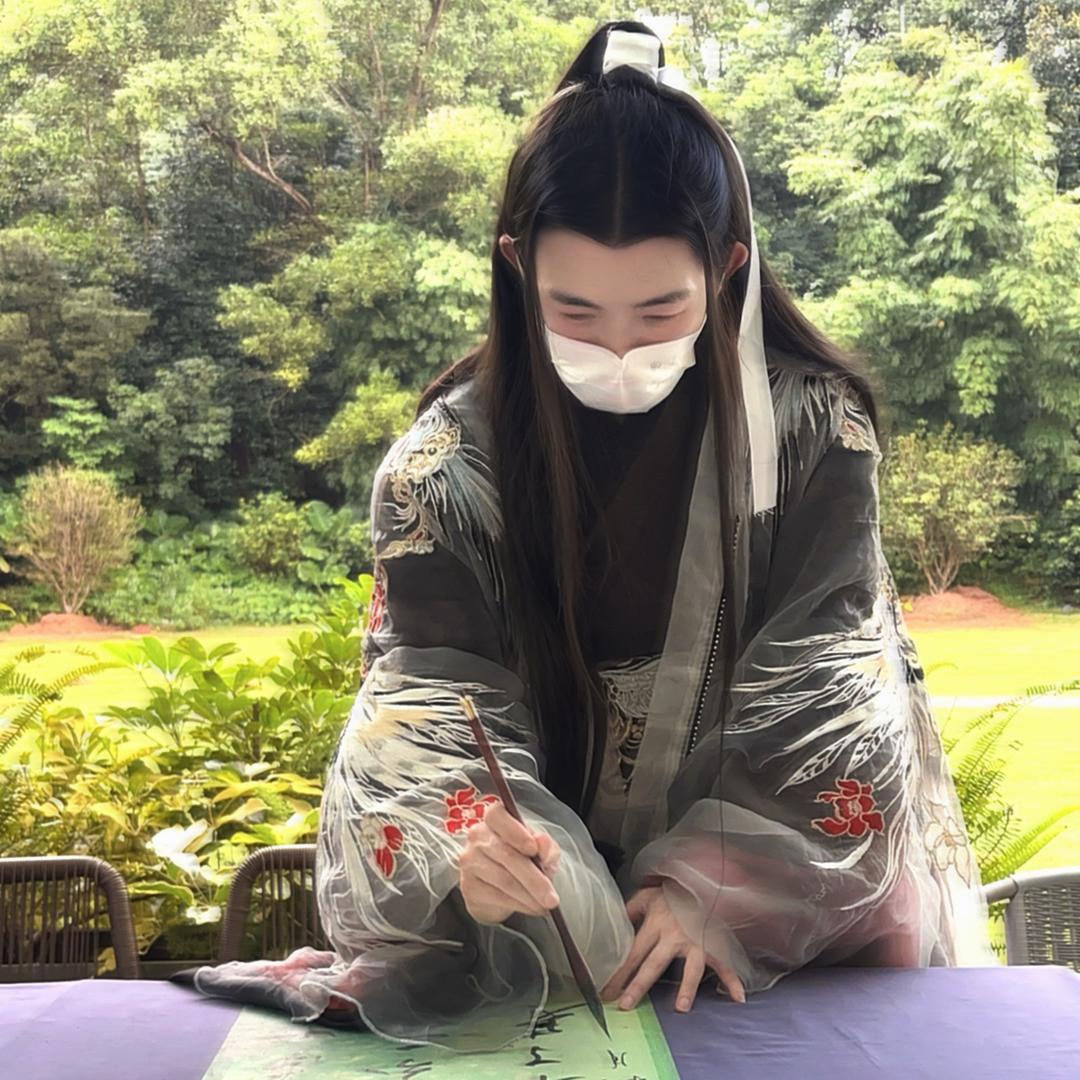 凤凰于飞