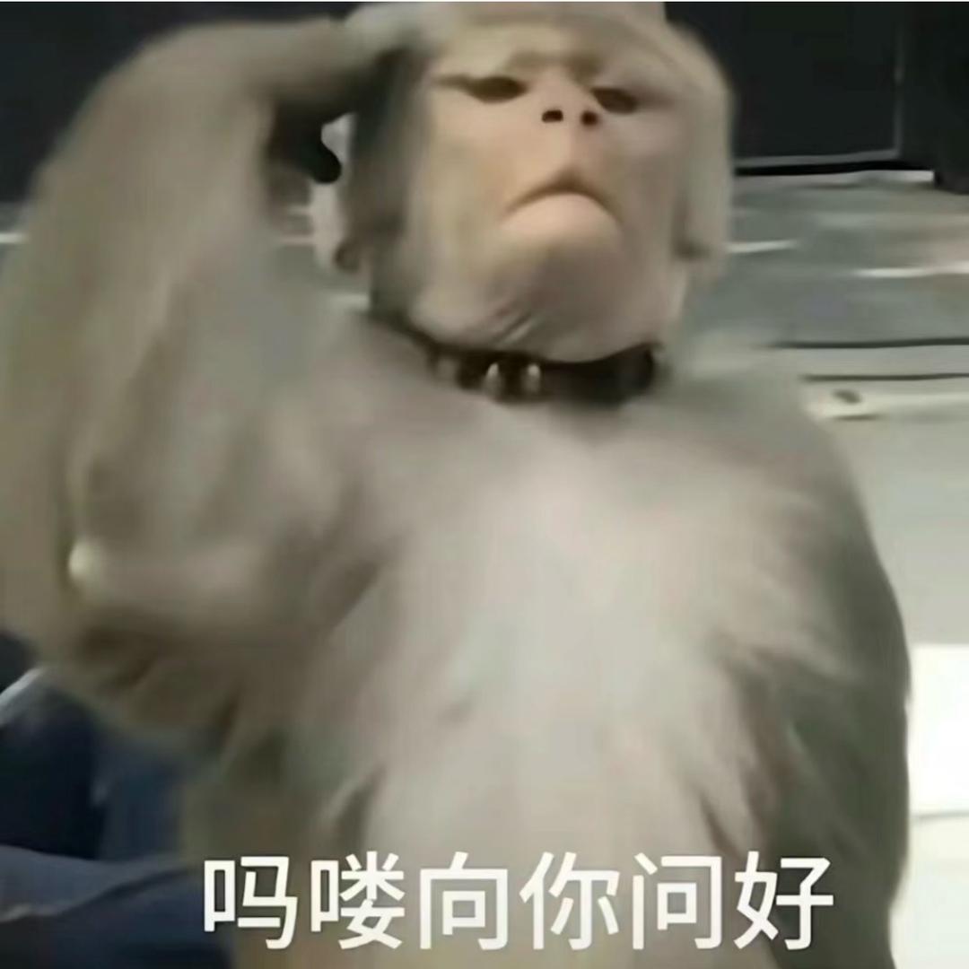 小侯不是吗喽🐒(蒸小皖)