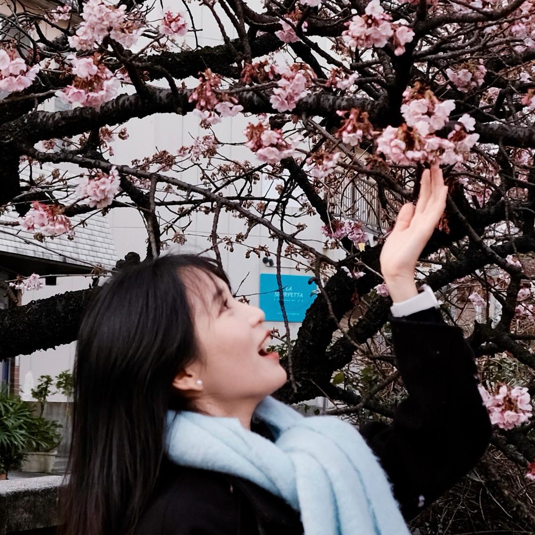林深见鹿鹿