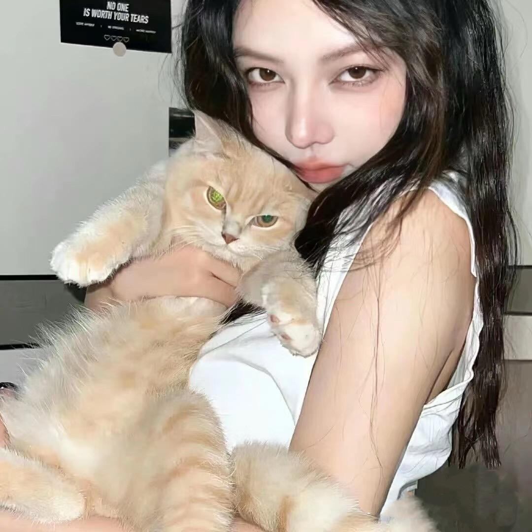 yangh.h