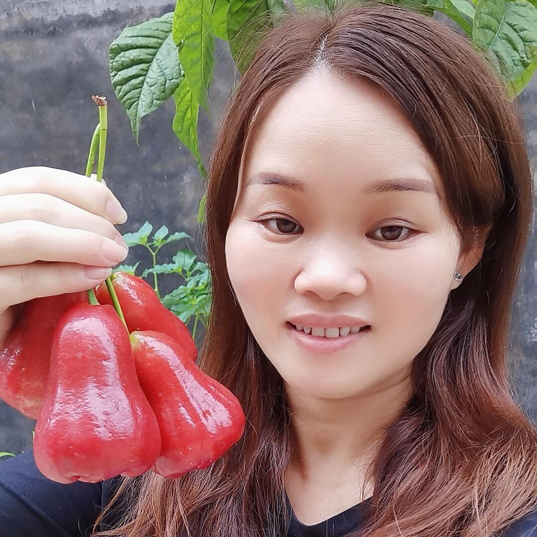 明宝