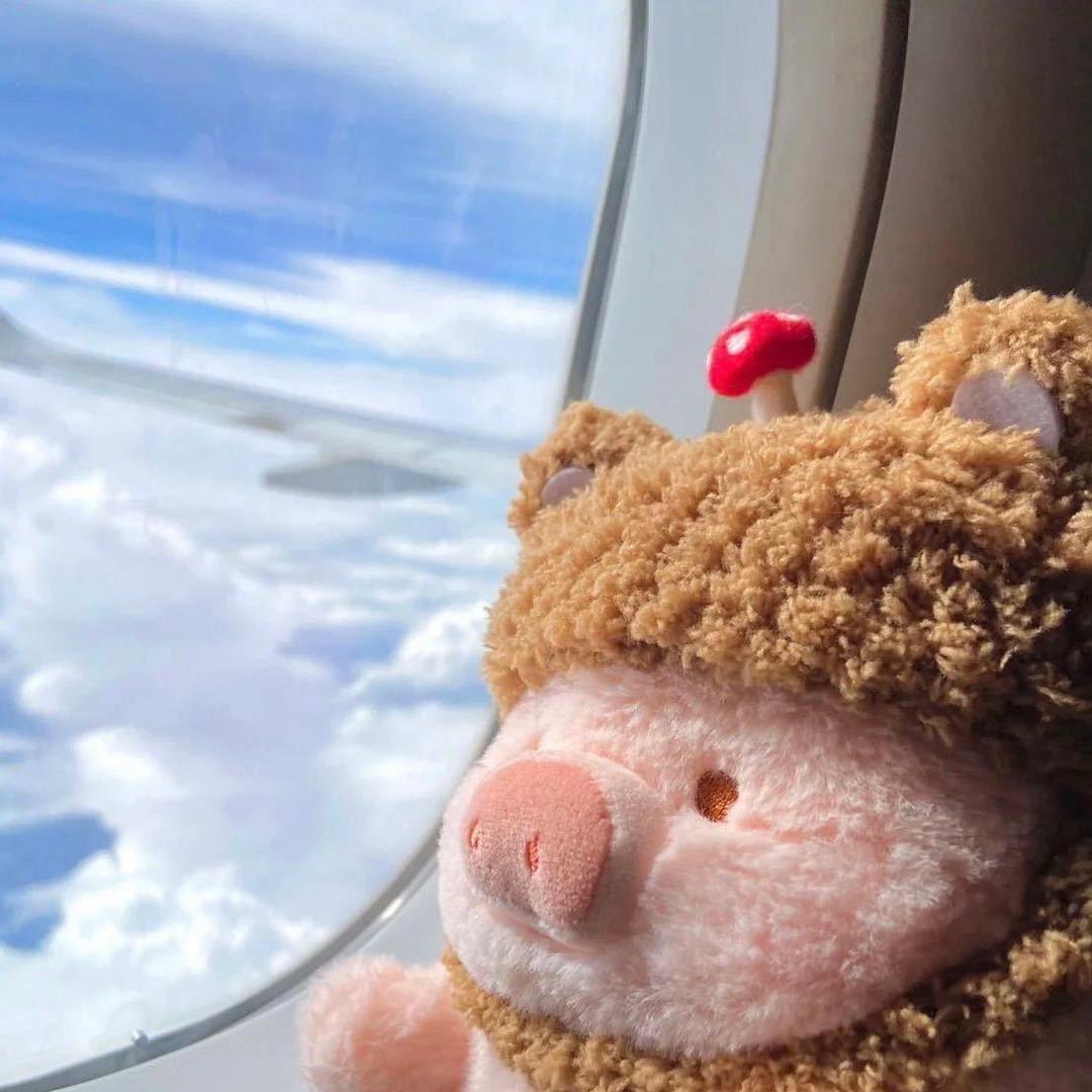 王宇｜武汉互联网