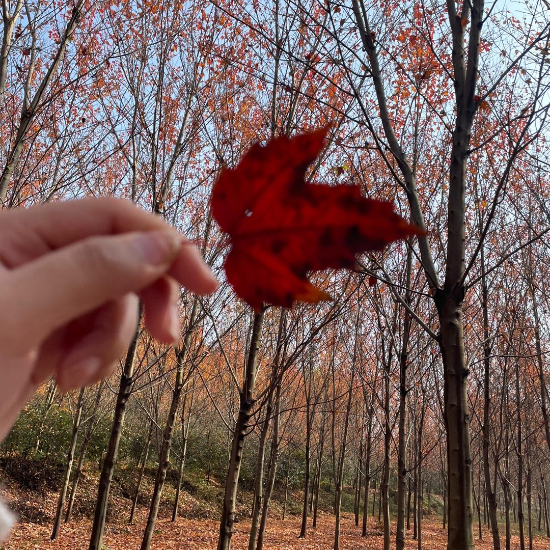 熊小乖