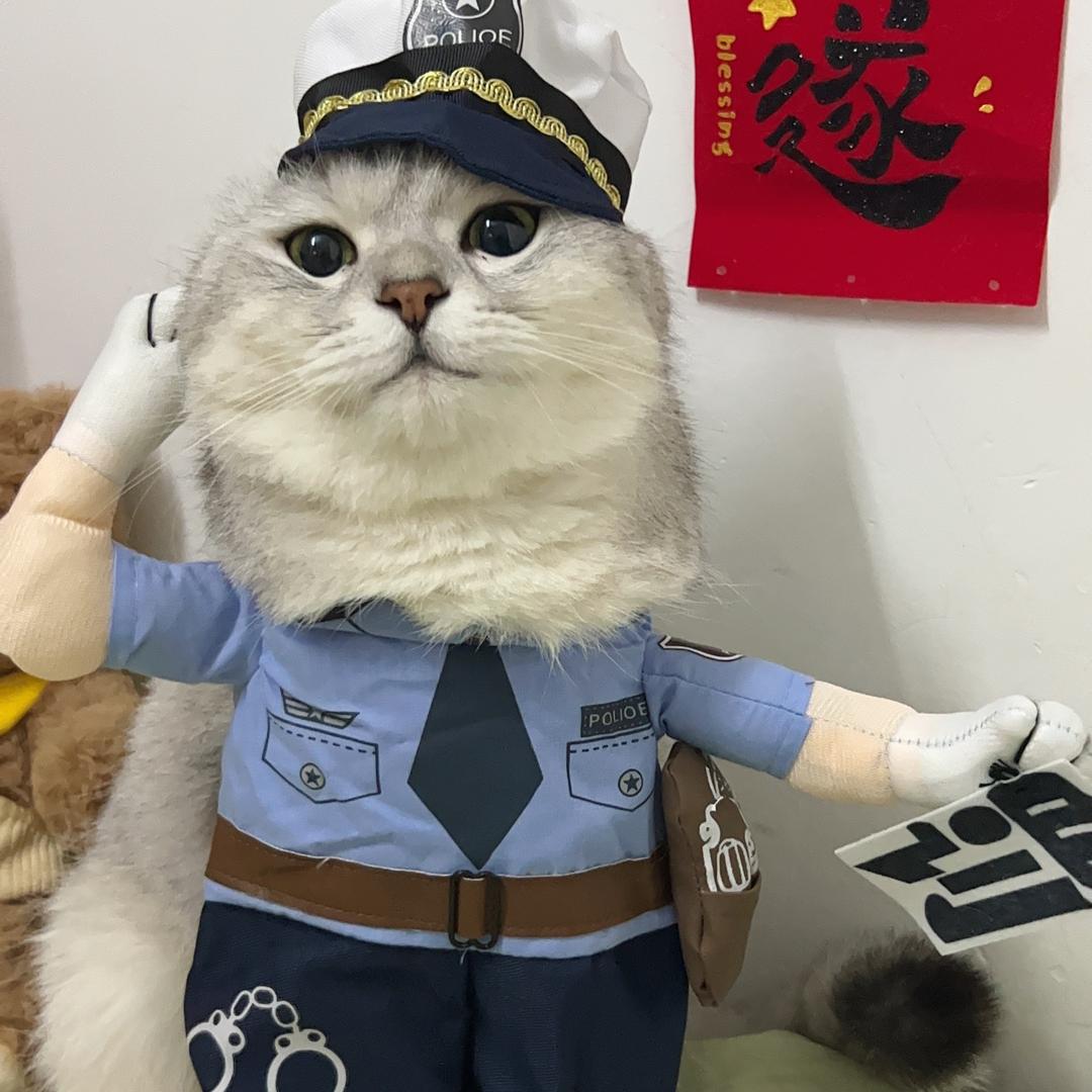 白皮体育生🐱-七佰