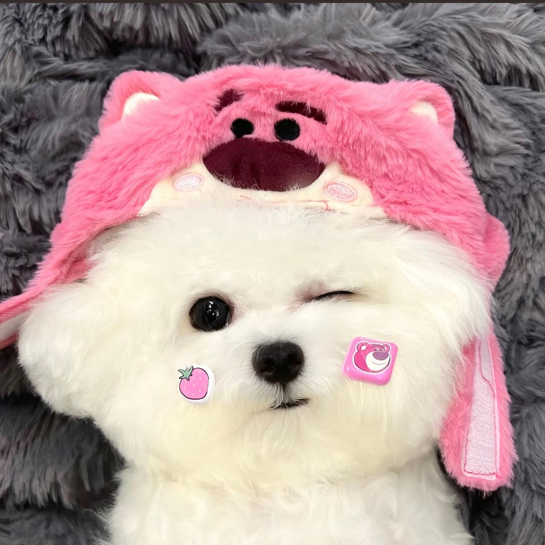 🌈酱紫吼~