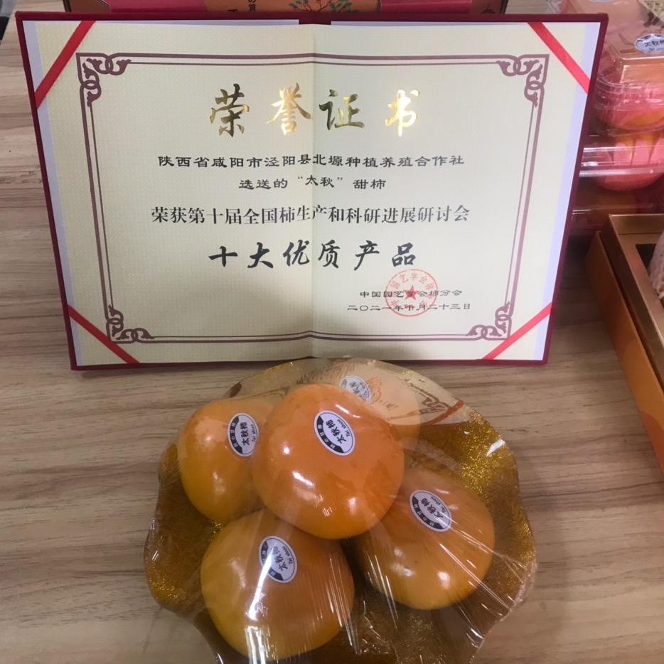 泾阳太秋甜柿示范基地