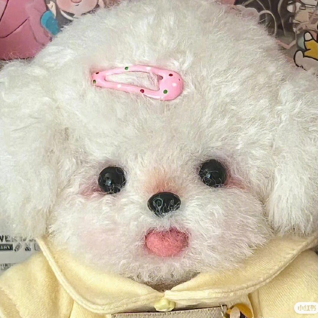 尖叫全智贤