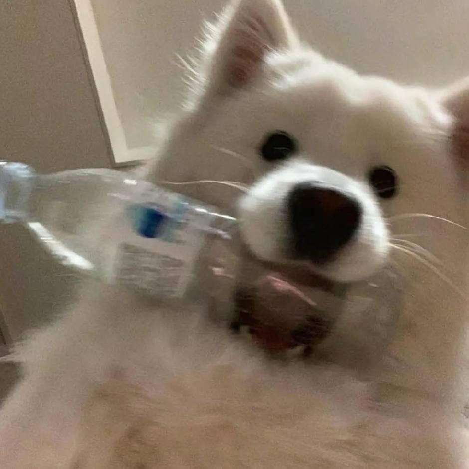 超自然（三角洲行动）