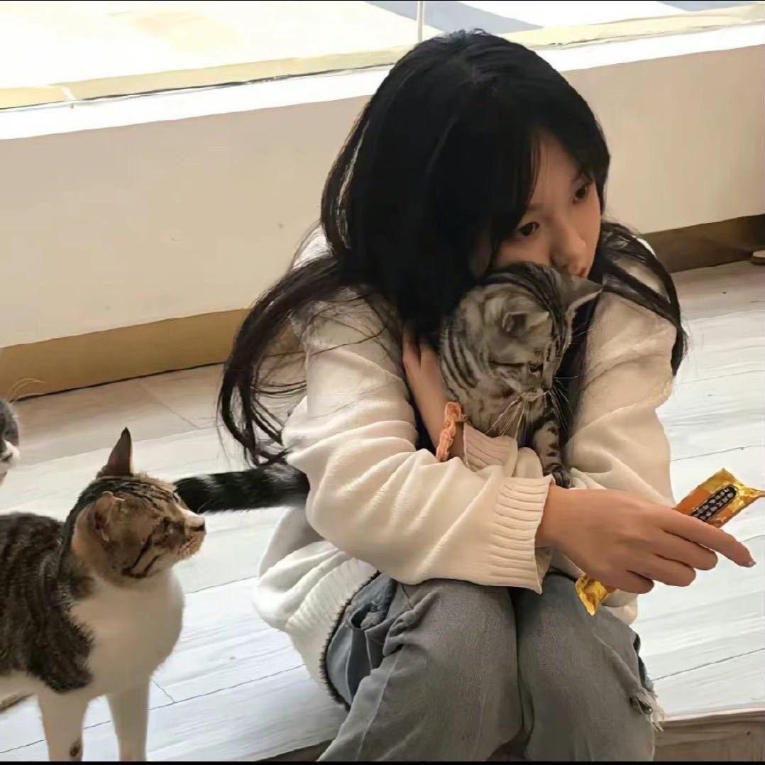 十七.
