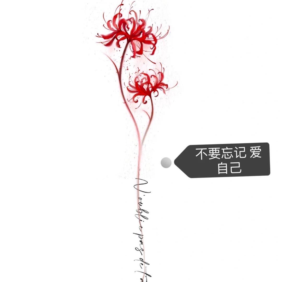 🌵仙人掌也不刺人