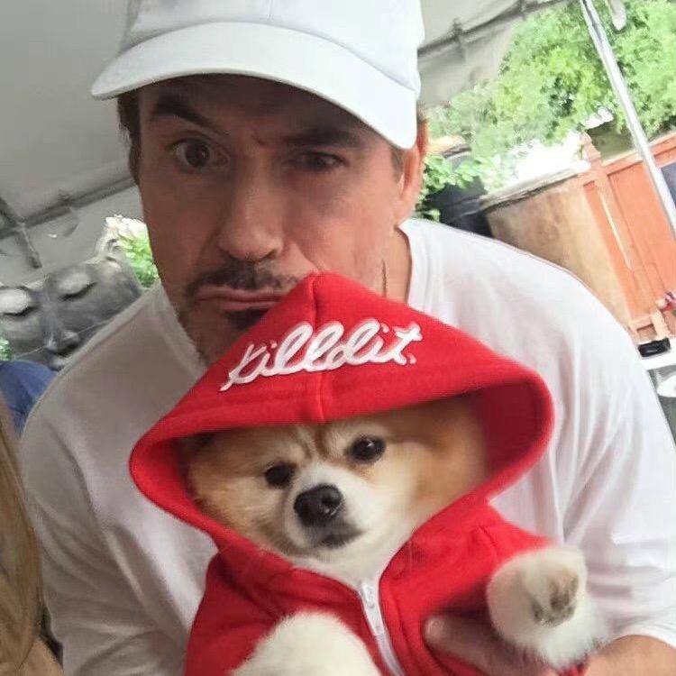 RDJ