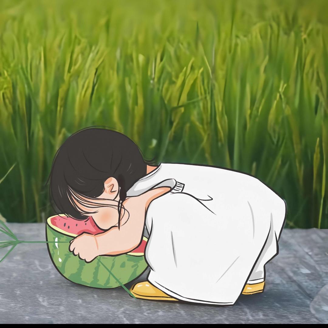 我的99个花瓶