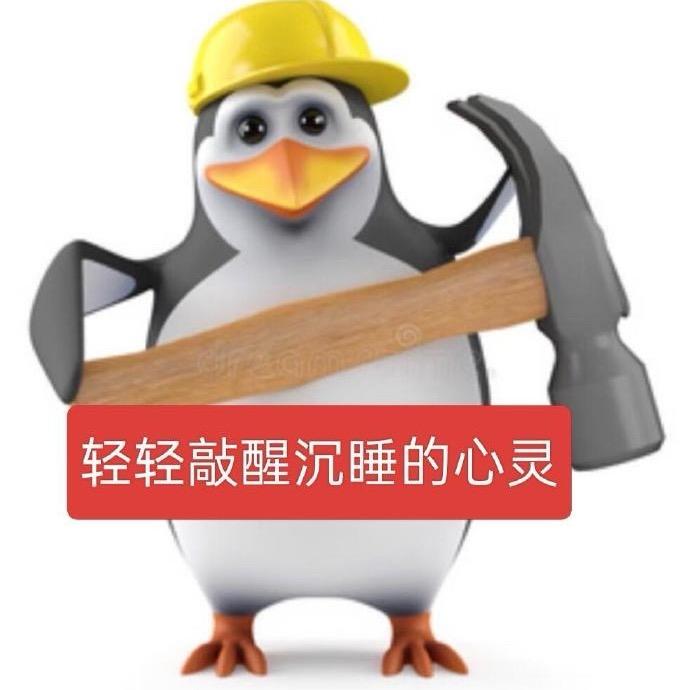 我是驼鹿战神小玉（ISFP版）