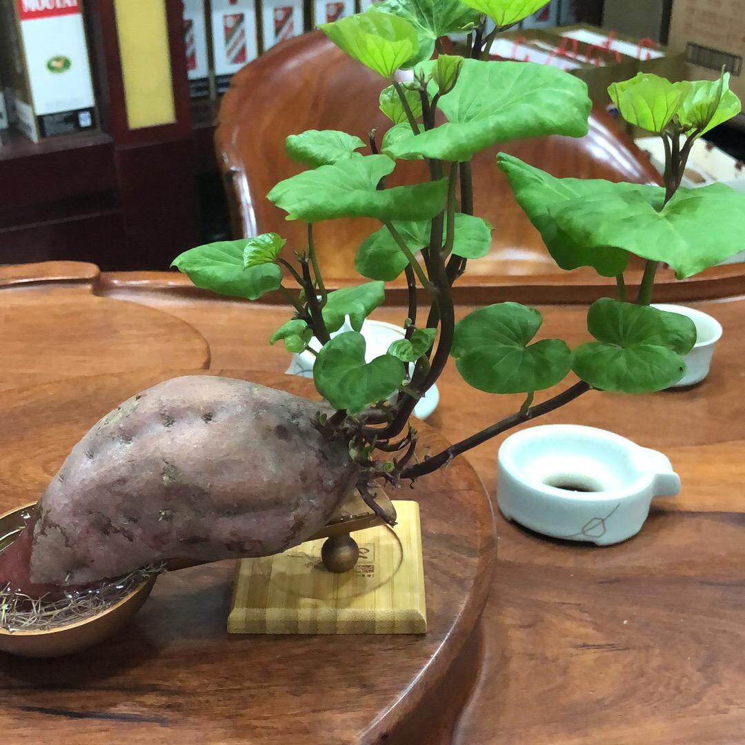 温岭君翔