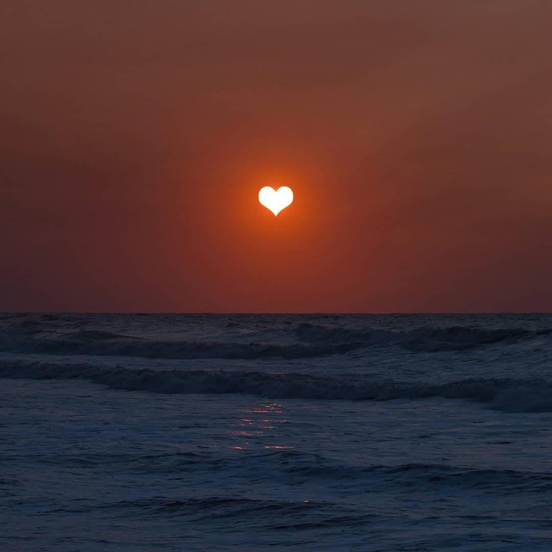 芙蓉不及美人妆