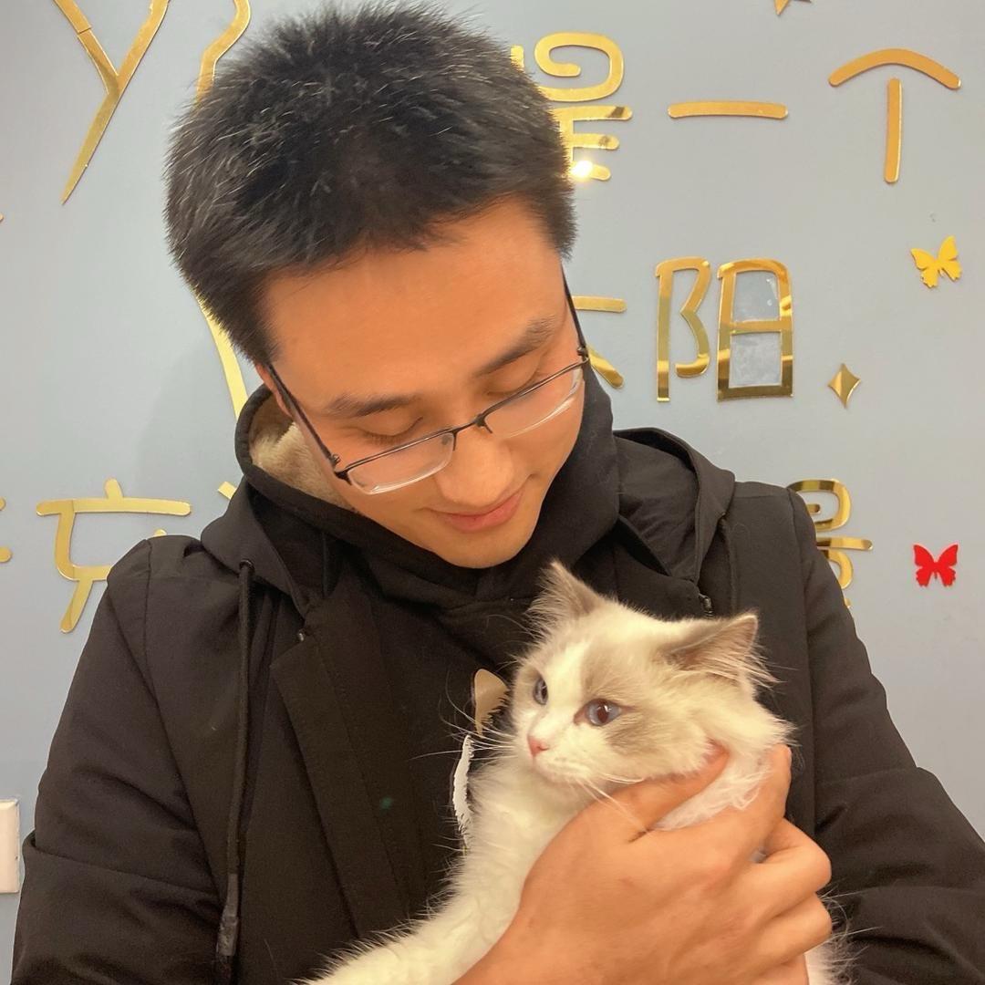 猫舍懂师傅