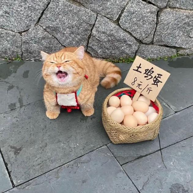慵懒