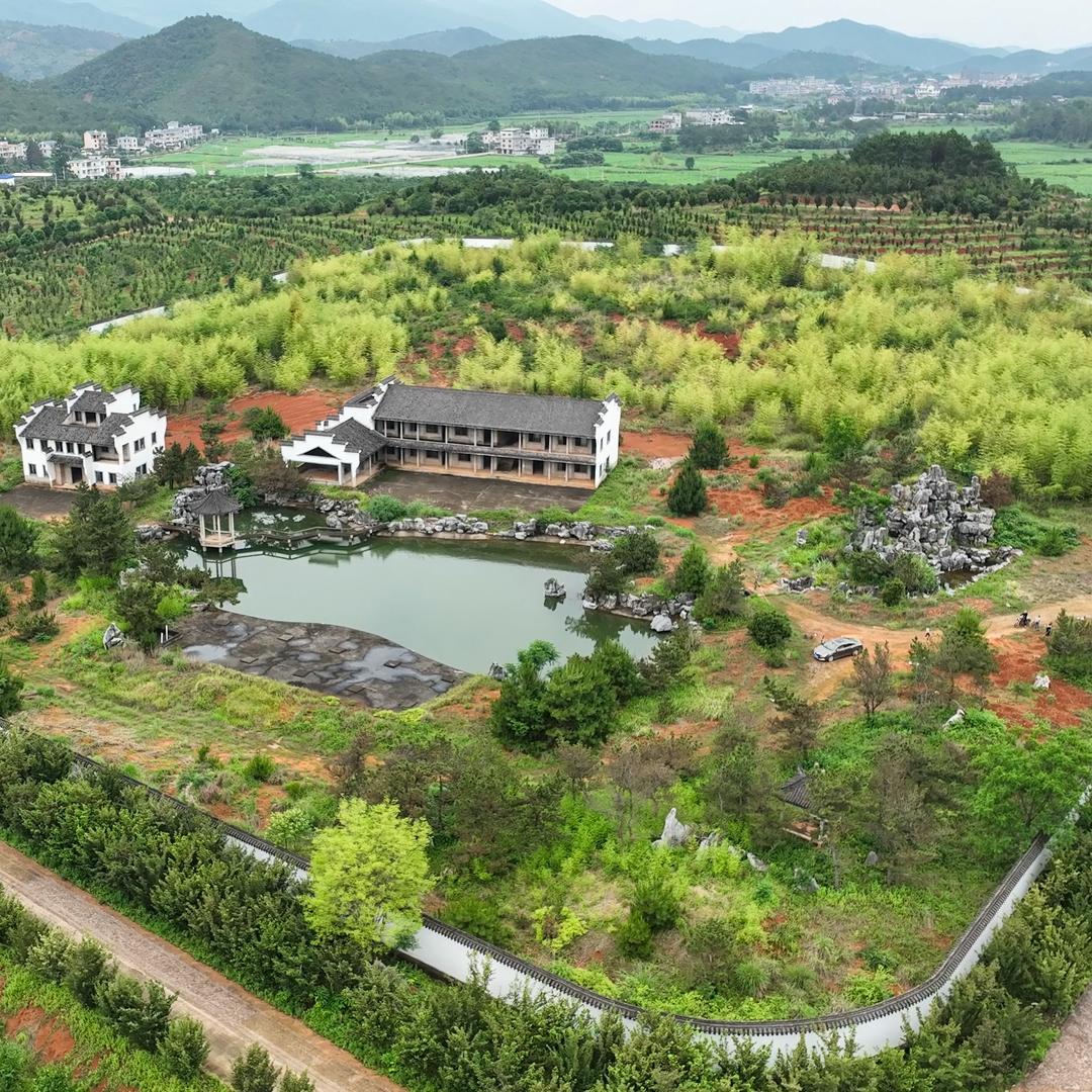全国最大罗汉松基地（福建滕头和钟永明基地
