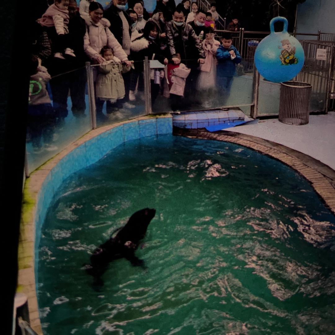 一人一车一世界，，，，，