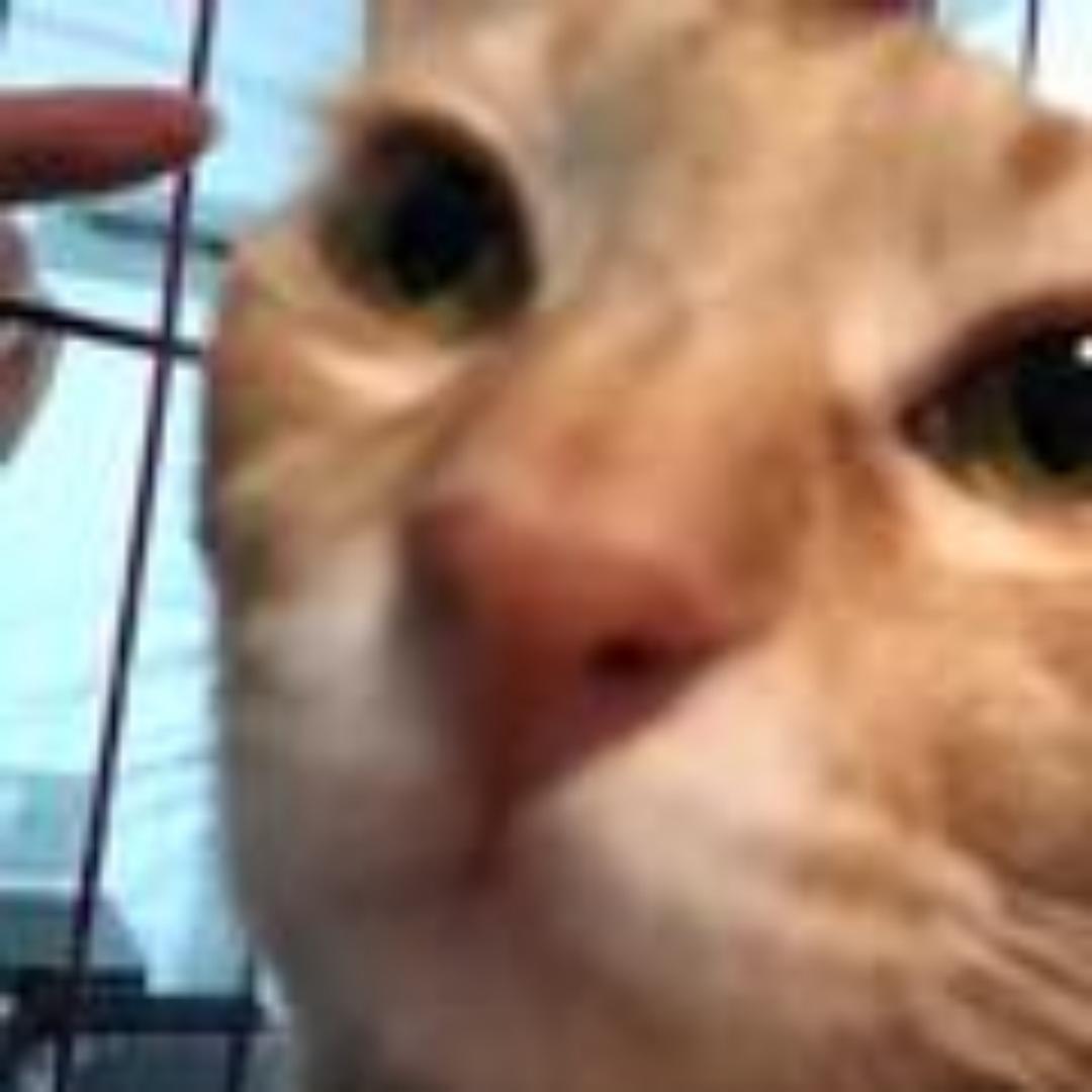高瑟