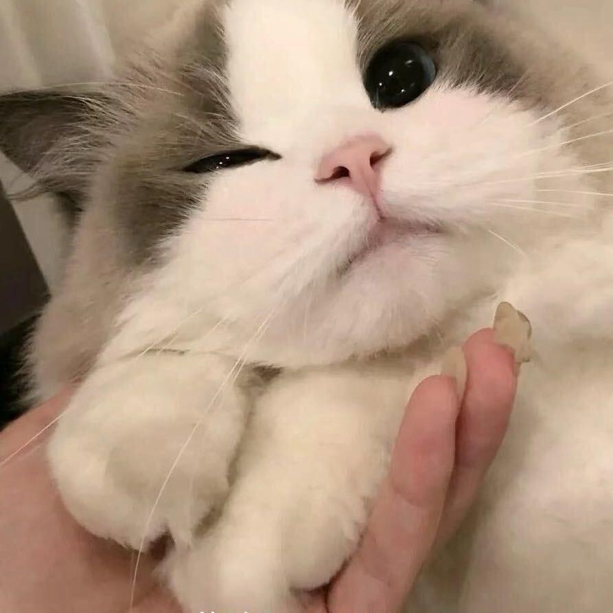 奥迪永远不会让女人哭💔