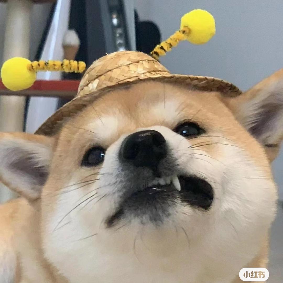 圆滚滚